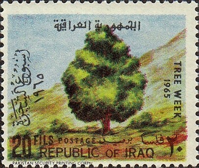 Stamp
